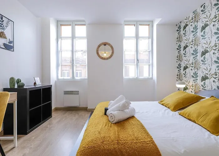 公寓 Le Havre De Paix Tolosan 圖盧茲